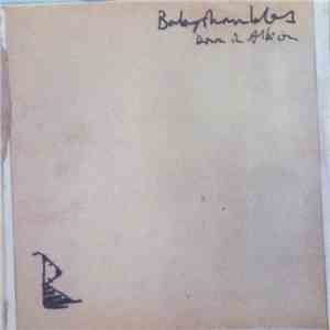 Babyshambles - Down In Albion (Clean Album Sampler) download free Babyshambles - Down In Albion (Clean Album Sampler) download mp3 flac