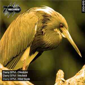 Dany BPM - Okidoki / Wicked / Wild Style download mp3 flac