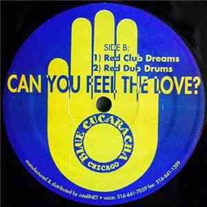 Derrick Carter & Chris Nazuka - Can You Feel The Love? download mp3 flac