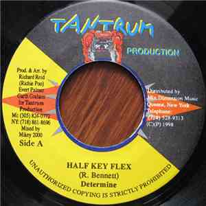 Determine - Half Key Flex download free Determine - Half Key Flex download mp3 flac
