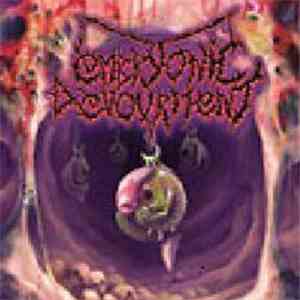 Embryonic Devourment - Beheaded by Volition download free
