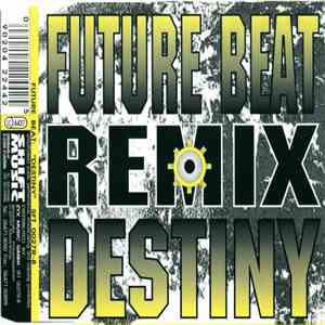 Future Beat - Destiny (Remix) download mp3 flac