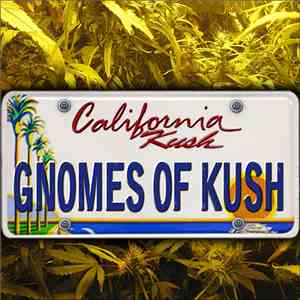 Gnomes Of Kush - California Kush download free Gnomes Of Kush - California Kush download mp3 flac