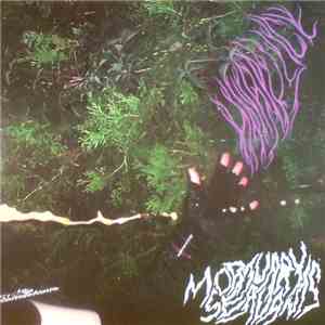 Hair Police - Mortuary Servants download free Hair Police - Mortuary Servants download mp3 flac
