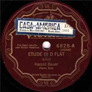 Harold Bauer - Etude In D Flat / In The Night download mp3 flac