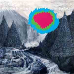 Hospital Bombers - At Budokan download mp3 flac