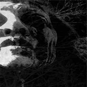 Insidious Omen - To Cast The Last Shadow download mp3 flac