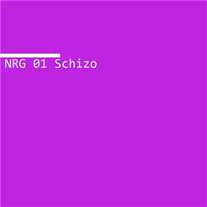 Noise Research Group - NRG 01 Schizo download mp3 flac