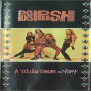 Push Push - A Trillion Shades Of Happy download mp3 flac