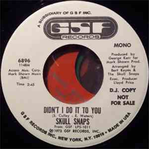 Skull Snaps - Didn't I Do It To You download mp3 flac