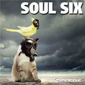 Soul Six - Desert Trip download mp3 flac