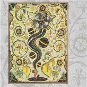Steve Earle - I Feel Alright download free Steve Earle - I Feel Alright download mp3 flac