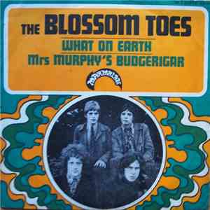 The Blossom Toes - What On Earth / Mrs Murphy's Budgerigar download mp3 flac