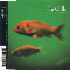 The Chills - Double Summer download mp3 flac