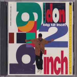 The Don  - Big 12 Inch download mp3 flac