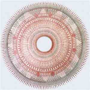 Tiago Sousa - Walden Pond's Monk download free Tiago Sousa - Walden Pond's Monk download mp3 flac