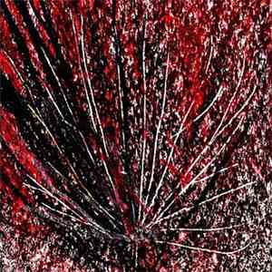 Unearthed  - Unearthed download mp3 flac