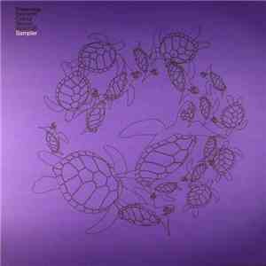 Various - Freerange Records Colour Series: Violet 08 Sampler download mp3 flac