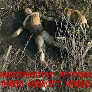 Vasocongestive Myotonia - Harsh Audacity Noises download mp3 flac