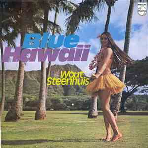 Wout Steenhuis - Blue Hawaii download mp3 flac